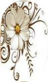 Flores021