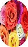Flores009