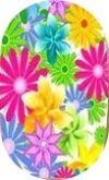 Flores003