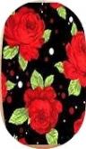 Flores027