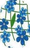 Flores016