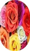 Flores009